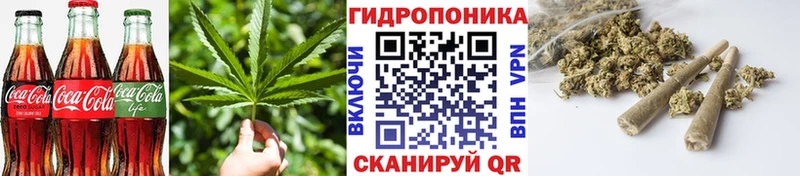Купить  Миньяр  Еда ТГК конопля 