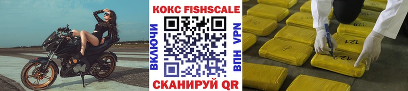 Купить закладки  Миньяр  Cocaine FishScale 