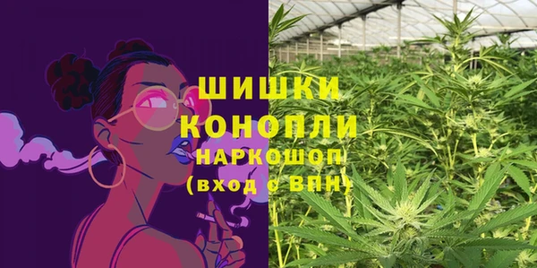 мдпв Бронницы