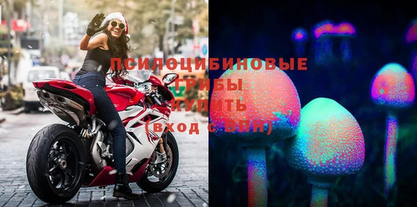 мдпв Бронницы