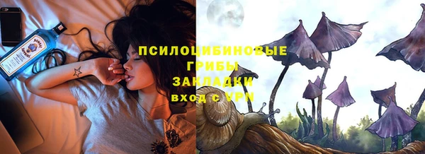 СК Бородино