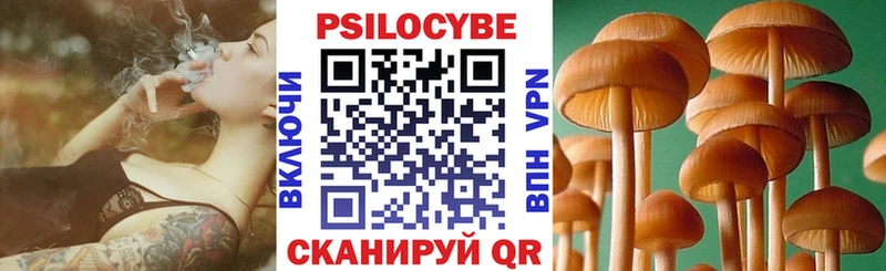 Галлюциногенные грибы MAGIC MUSHROOMS Купить Миньяр